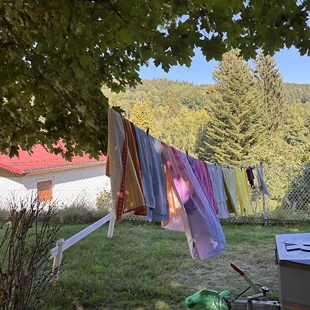 Κάμπινγκ Chalet